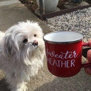 Meet your Posher, Tina